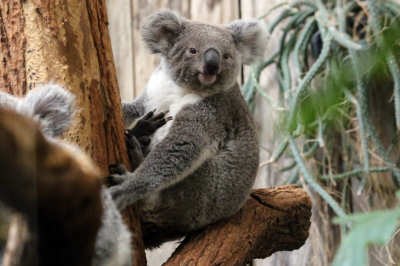 zoo-duisburg.jpg