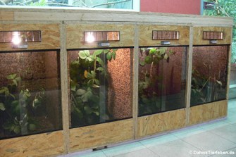 Die Anlage für Insekten