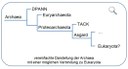 Kladogramm Archaea