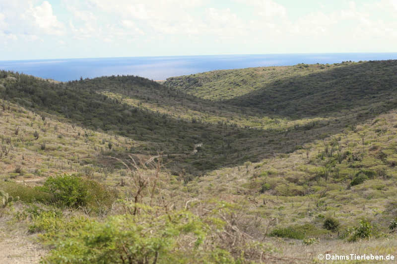 Arikok Nationalpark