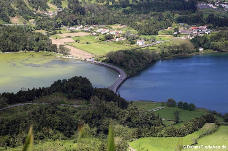 Lagoa azul und Lagoa verde