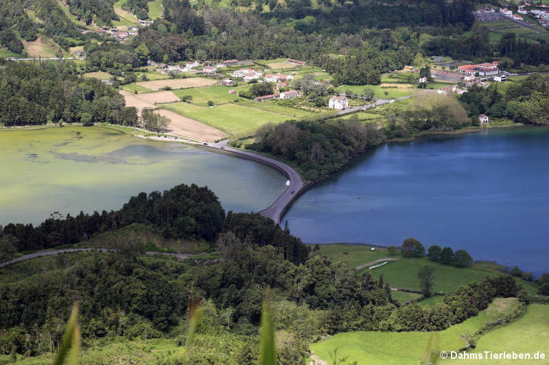 links: Logoa verde, rechts: Lagoa azul