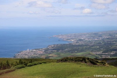 Blick auf Ponta Delgada
