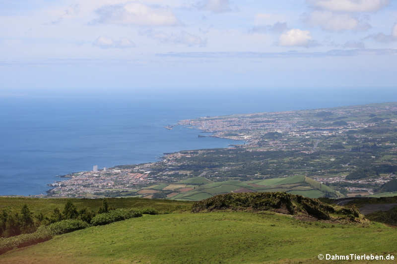 Blick auf Ponta Delgada