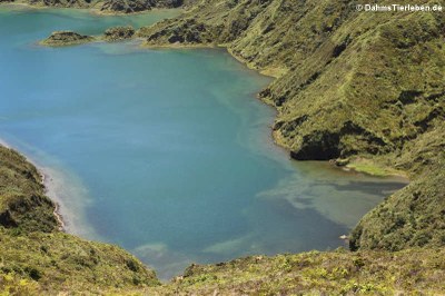 Blick auf den Lagoa do Fogo 