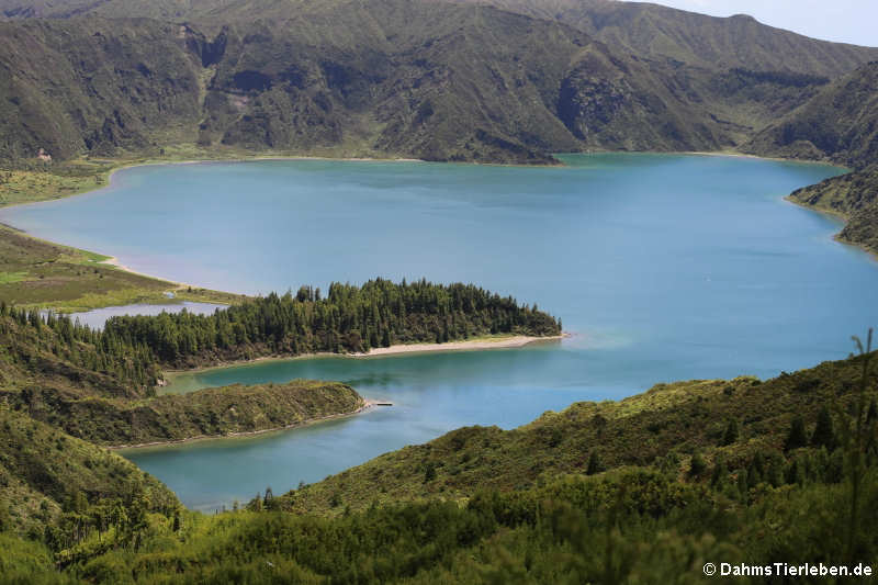 Blick auf den Lagoa do Fogo 