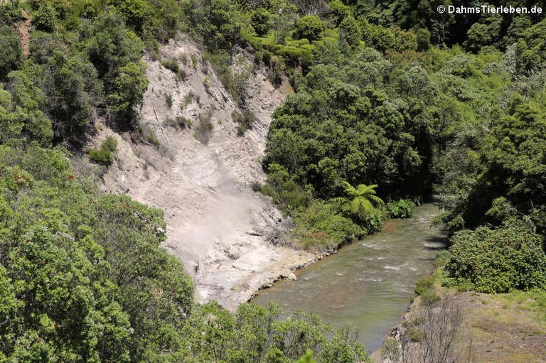 Heisse Quelle in Furnas