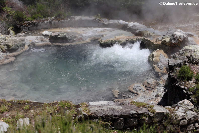 Heisse Quelle in Furnas