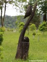 Skulptur Wintergoldhähnchen und Igel
