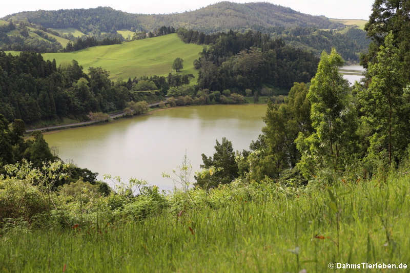 Blick auf den Logoa das Furnas