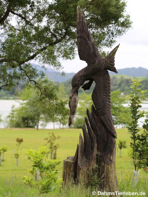 Skulptur Möwe