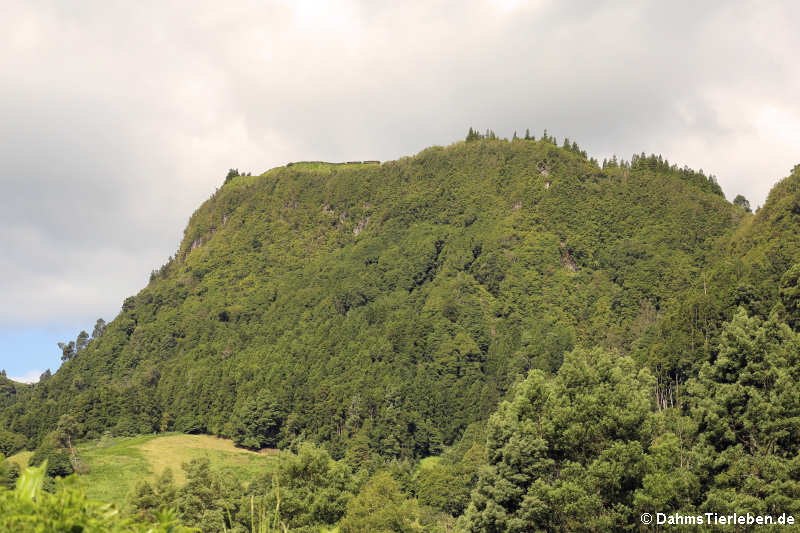 Pico do Ferro