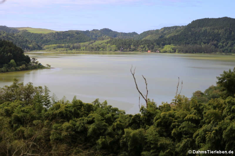 Blick auf den Logoa das Furnas