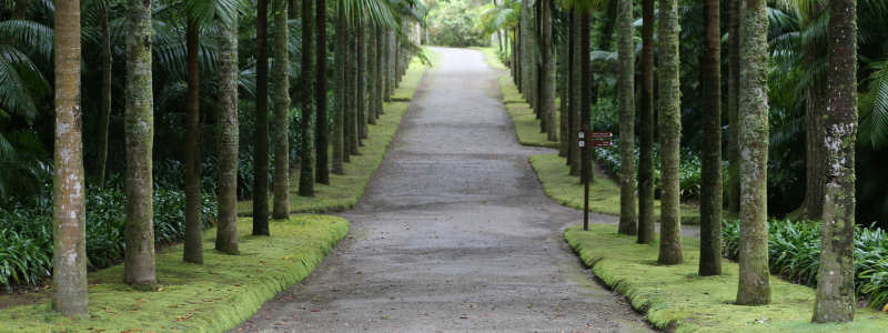 Terra Nostra Garden