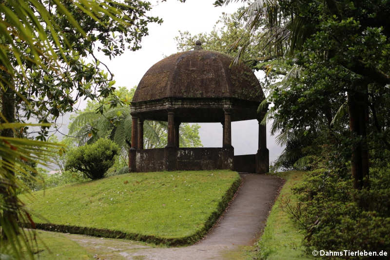 The Sugar Bowl Belvedere