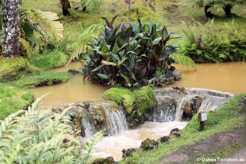 Ablaufendes Wasser aus dem Thermalbad