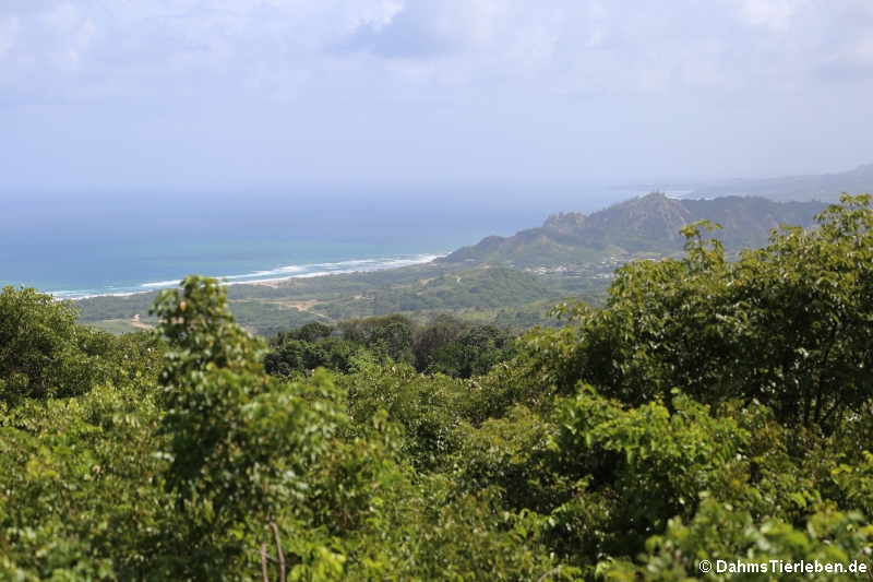 Blick auf die Atlantikküste