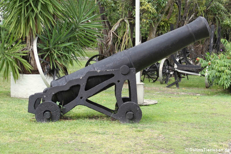 Kanone aus der Kolonialzeit