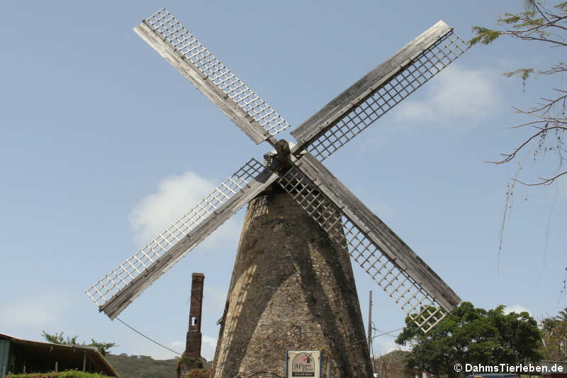 Morgan Lewis Sugar Mill, die einzige vollständig erhaltende Mühle