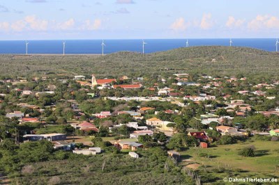 Blick auf Rincon, die erste Siedlung auf Bonaire. Im Hintergrund der Windmill Park.