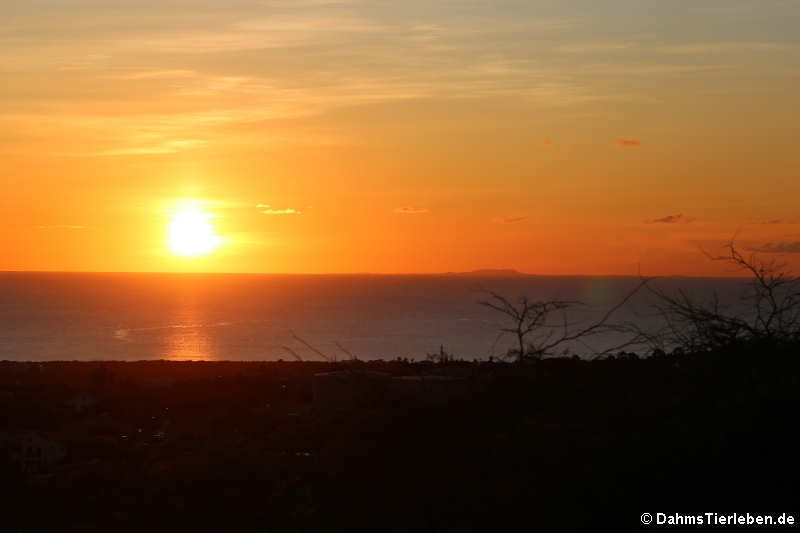 Sonnenuntergang auf Bonaire, aufgenommen auf dem Seru Largu (großer Hügel)
