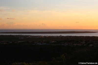 Sonnenuntergang auf Bonaire, aufgenommen auf dem Seru Largu (großer Hügel)