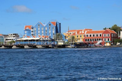 Koningin Emmabrug in Willemstad