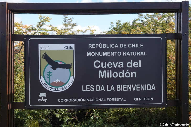 cueva-0