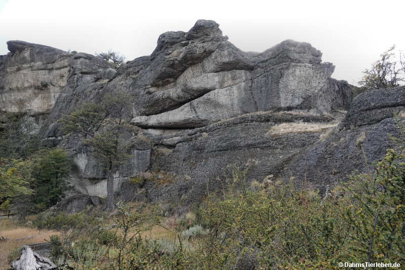 cueva-1