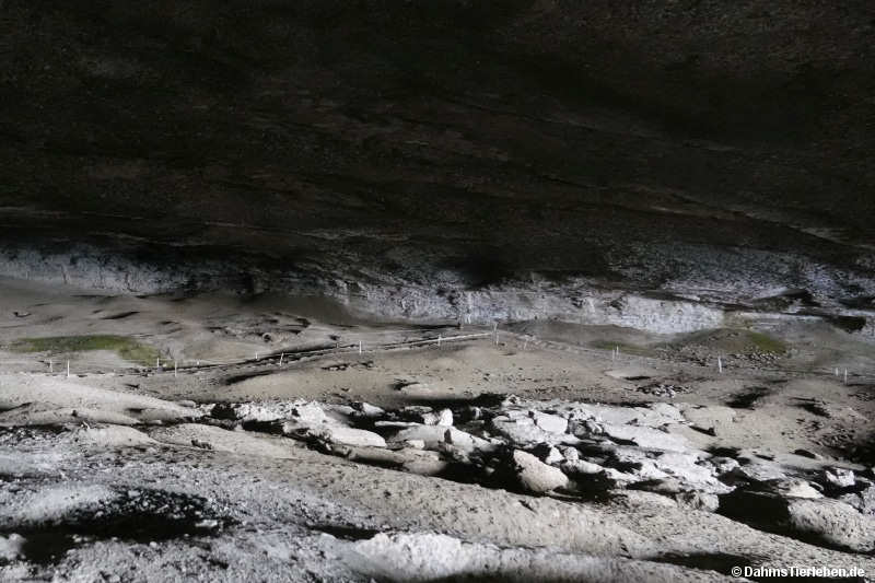 cueva-11