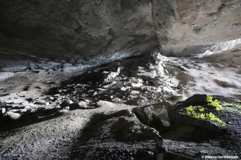cueva-13