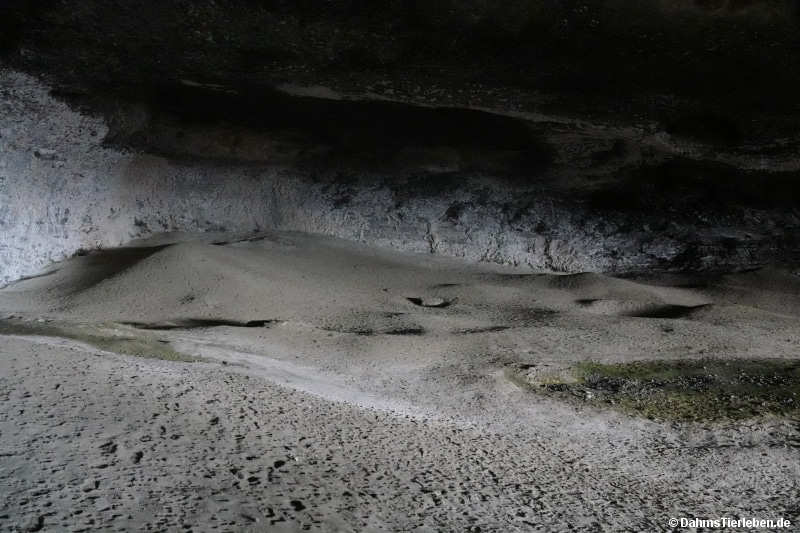 cueva-14