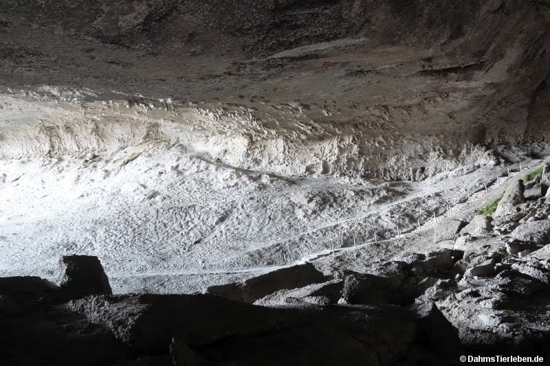 cueva-15