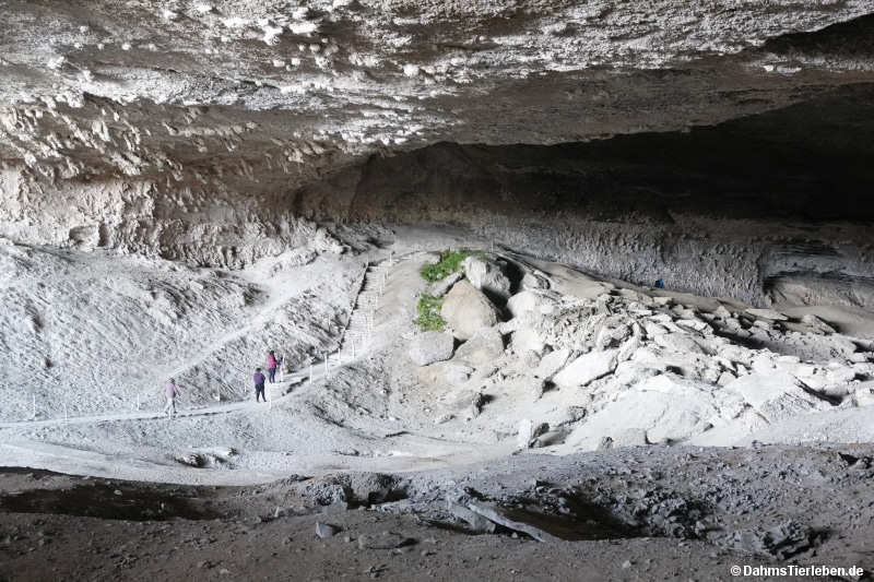 cueva-16