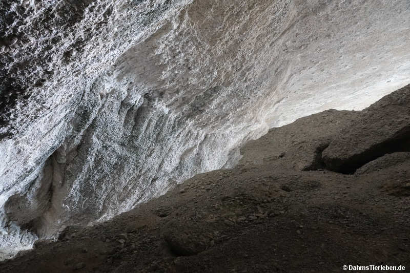 cueva-17