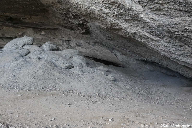 cueva-18