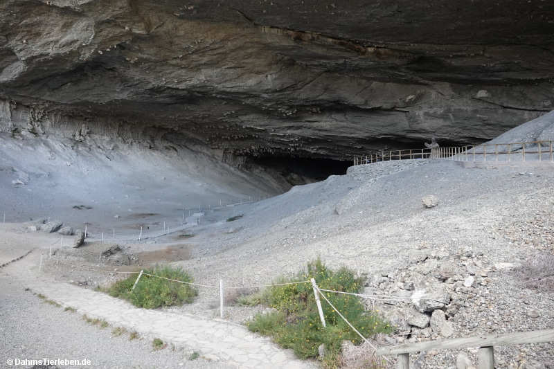 cueva-4