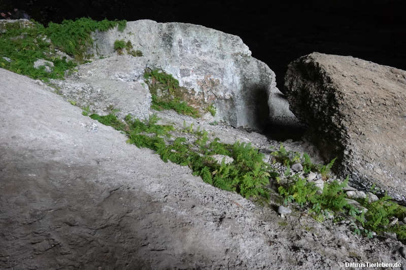 cueva-8