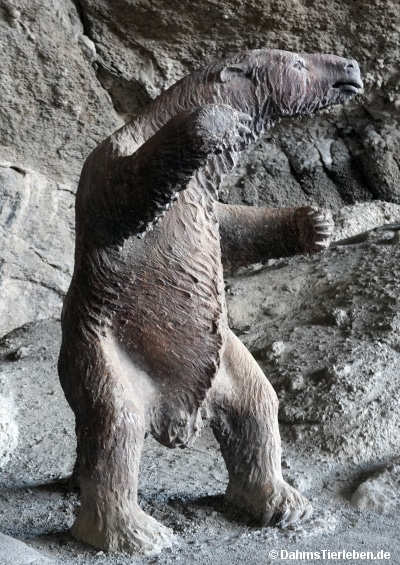 mylodon-1
