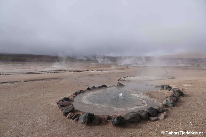 Geysirfeld El Tatio