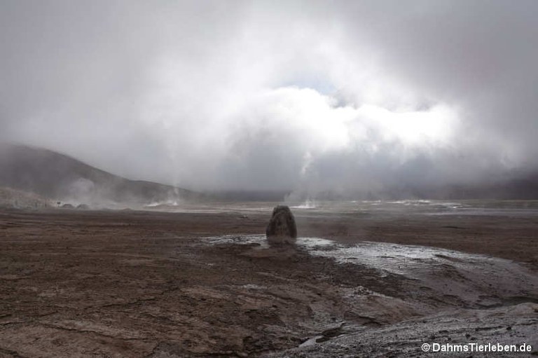 Geysirfeld El Tatio