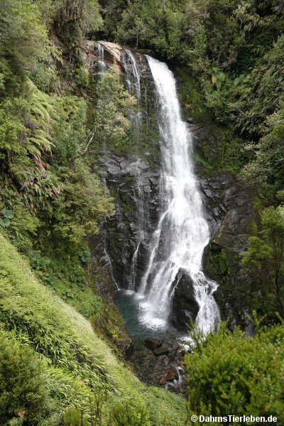 Sendero Cascadas Escondidas
