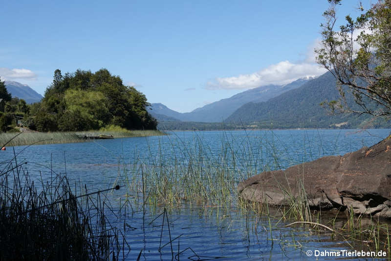 Mirador Lago Yelcho