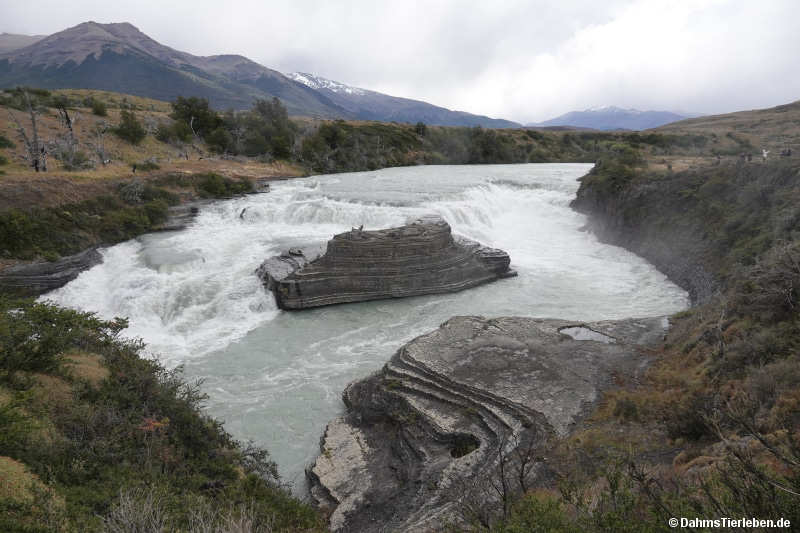 Cascada Rio Paine