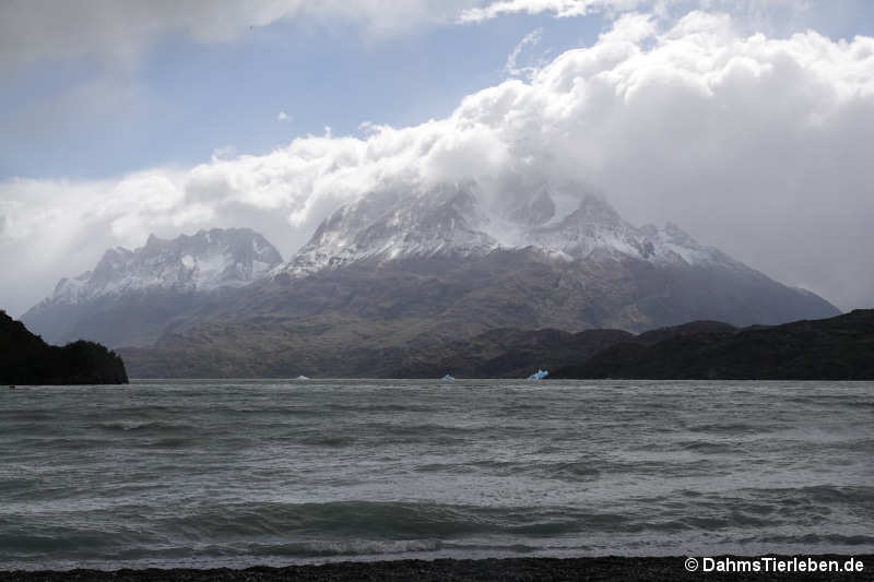 lago-grey-4