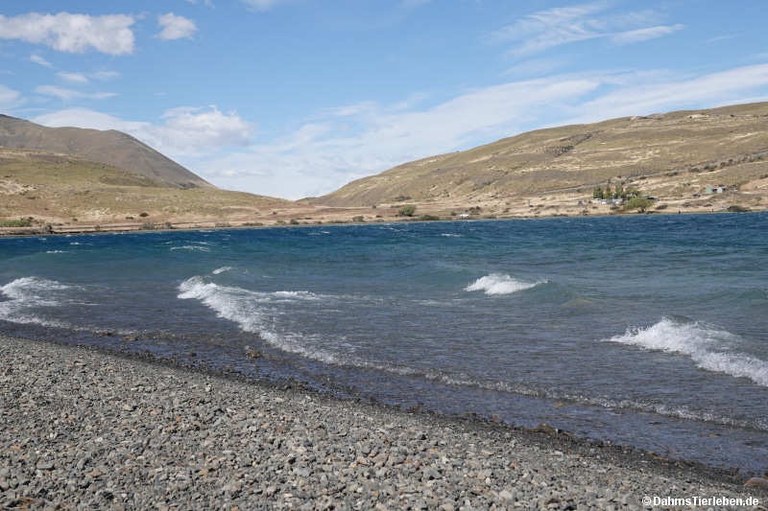Laguna Azul