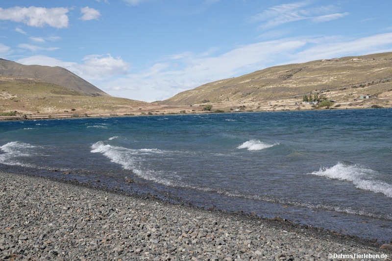 laguna-azul-2
