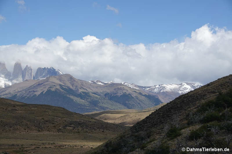Paine-Bergkette