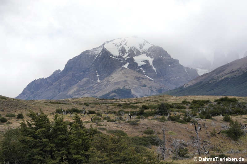 Torres del Paine