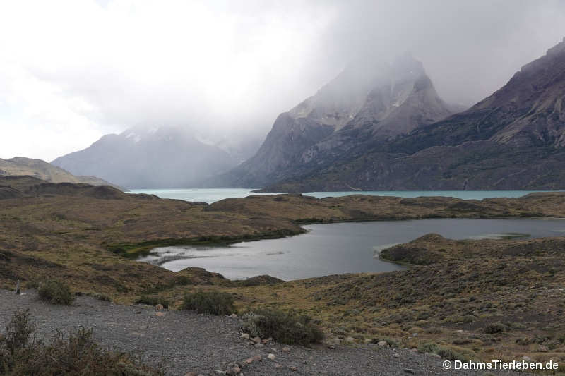 Lago Nordenskjöld